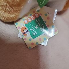 豆しば三兄弟（豆太郎）の画像