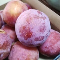 ☆☆完熟サマーエンジェル　3L　18個☆☆③おまけ付きの画像