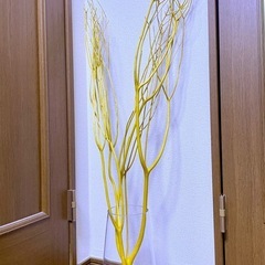 乾燥ミツマタ•イエローの画像