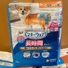 ペット用　紙おむつの画像