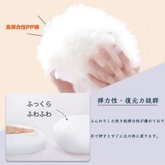 大きめの抱き枕(本体150cm × 50cm)の画像