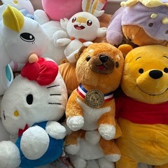 ぬいぐるみの画像