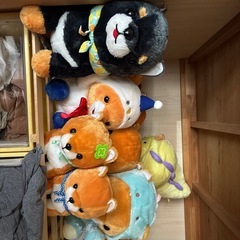ぬいぐるみの画像