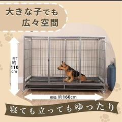 超大型ペットケージ　室内1年使用中古　　の画像