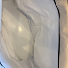 大きめの保冷バッグ　エコバッグの画像