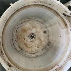 洗濯機の分解クリーニング行っています！配送設置込み　東芝7.0K洗濯機DDモーター　ファインバブル　2019年製　分解クリーニング済み！！の画像