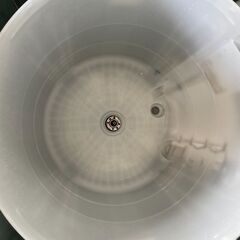 洗濯機の分解クリーニング行っています！配送設置込み　東芝7.0K洗濯機DDモーター　ファインバブル　2019年製　分解クリーニング済み！！の画像