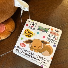 イーブイぬいぐるみ4点セットの画像
