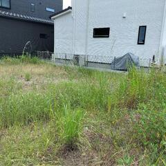 草むしり、草刈