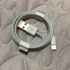 未使用　
アップル純正　ライトニングセットの画像