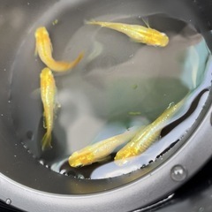 ⑧レモンスカッシュ　卵30+αの画像