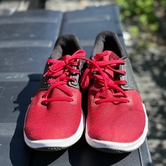 【NIKE】ナイキ トレーニングシューズ AJ5911-600（レッド×ブラック）27.5cmの画像
