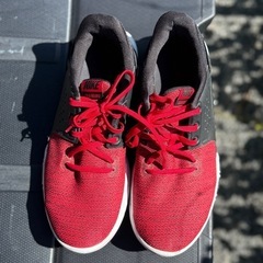 【NIKE】ナイキ トレーニングシューズ AJ5911-600（レッド×ブラック）27.5cmの画像