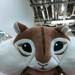 0720-081 チップ　帽子の画像