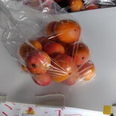 ミニマンゴー　約1kg入り