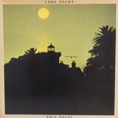 ７０s　80s　洋楽レコードセット「ルパート・ホルムズ/クリス・レア/マーティ・バリン/ポール・デイビス」AORの画像