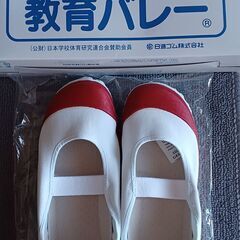 上靴