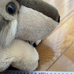 オオカミのぬいぐるみ(75㎝程度)の画像