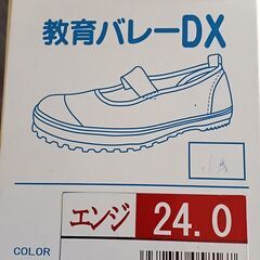 上靴の画像