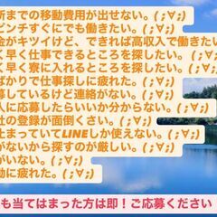 【お仕事Dr,(株)CATS】スグ寮に入りたい！スグ日払いが欲しい！ 見つからない、仕事が合わない、困っている。の画像