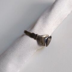 ※当方の自宅近くでお取引出来る方限定※　クラダリング　4号と10号の画像