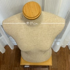 マネキン(ボディ)の画像