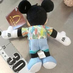 0720-227 タグ付き　ハワイ限定　アウラニ　ディズニー　ミッキーぬいぐるみの画像
