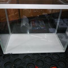 値下げ、水槽セット、アクアリウムセット　2個セット　他小物品いろいろの画像