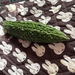 ゴーヤ他夏野菜の画像