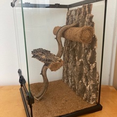 グラステラリウム　3045 爬虫類　飼育セットの画像