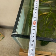 大型120センチ水槽、水槽台の画像