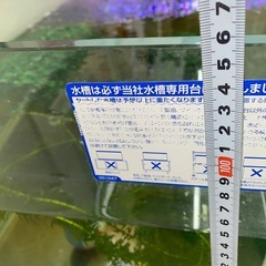 大型120センチ水槽、水槽台の画像