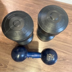 ダンベル10kg1個、5kg2個セットの画像