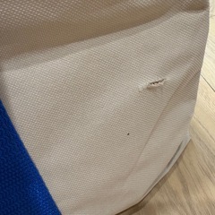 コストコ　バッグ　　　の画像