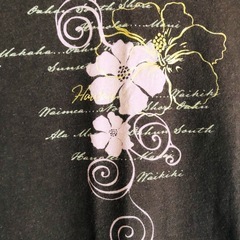 【Tシャツ・２枚】Hawaiiで購入  S〜M寸の画像