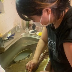 市川市、キッチン掃除ネコの手