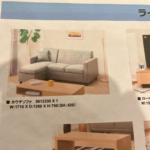 コンパクトポケットコイルカウチソファ (GY)