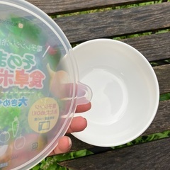 電子レンジで使うボールの画像