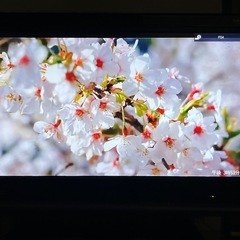 【お譲り決定】AQUOS テレビの画像