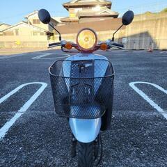 ホンダトゥデイAF67 原付バイクの画像