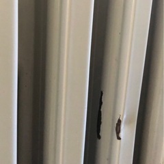 オイルヒーター　　デロンギの画像