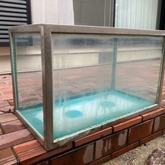 75cm水槽の画像