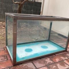 75cm水槽の画像