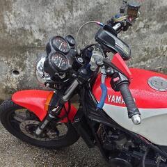 YAMAHA　RZ250RRの画像