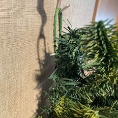 クリスマスツリー　壁掛けツリー  Branche 　ハンギングツリーの画像