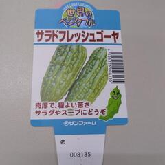 サラドフレッシュゴーヤ　1本１００円　ゴーヤーの画像