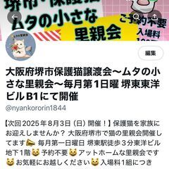 10月5日（日）里親会参加★ハラミ★ - 里親募集