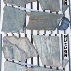 乱形石/乱張り石/敷石 大4枚とおまけ ガーデニングの画像
