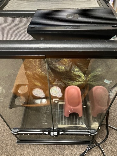 爬虫類飼育用品7点セット