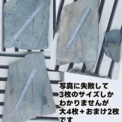 乱形石/乱張り石/敷石 大4枚とおまけ ガーデニングの画像